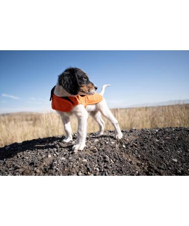 Carhartt Herren Firm Duck Insulated Dog Chore Coat - X-Large Hunter Orange/Messing | Durable & Warm Dog Coat for All Weather - Buy Online on GoSupps.com