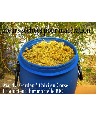 Organic Immortelle Oil from Corsica 100ml | Soothing Helichrysum Italicum Essential Oil - Buy Online on GoSupps.com