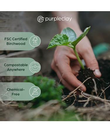 300-Piece Wooden Disposable Forks - Eco-Friendly Biodegradable Utensils for Parties | Compostable & Plastic-Free Cutlery Set - Buy Online on GoSupps.com