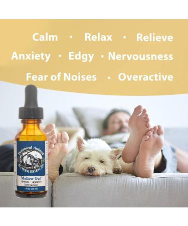 Botanical Animal Safe Natural Flower Essence Combination Competitive Edge Kit - Calm, Cool, Collected Animals During Show & Competition - Non-Mood Altering, Hemp-Free, Non Allergenic - 1 oz (30 ml) - Buy Online on GoSupps.com