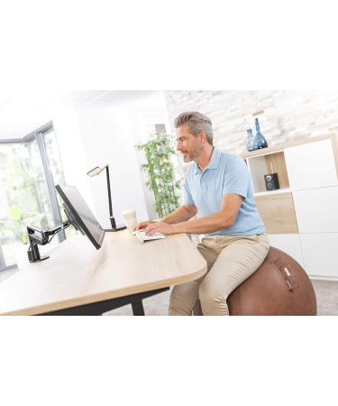 Buy NOVUS Pila Design Seat Ball - 70 cm Brown Imitation Leather Vintage Look | International Shipping - Buy Online on GoSupps.com