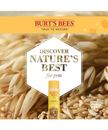 Burt's Bees Oatmeal Conditioner for Dogs - 10 fl oz with Colloidal Oat Flour & Honey - Buy Online on GoSupps.com
