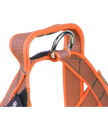 Julius-K9 Mini Orange-Grey Belt Harness S - Durable & Stylish Dog Harness for Optimal Comfort | International Shipping - Buy Online on GoSupps.com