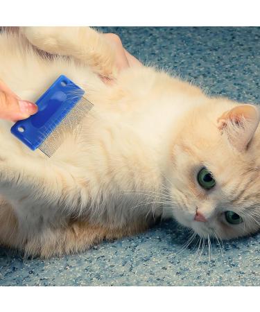 Newofview 6-Piece Cat & Dog Flea Comb Set | Professional Lice & Dandruff Removal Pet Care Tools - Buy Online on GoSupps.com