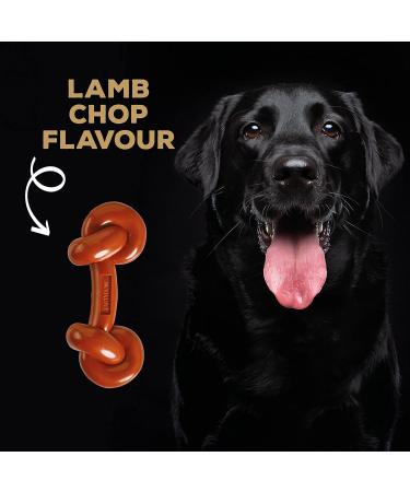 Rosewood TastyBone Extra Robust Knotted Nylon Dog Toy - Lamb Flavour Lamb Chop | International Shipping Available - Buy Online on GoSupps.com