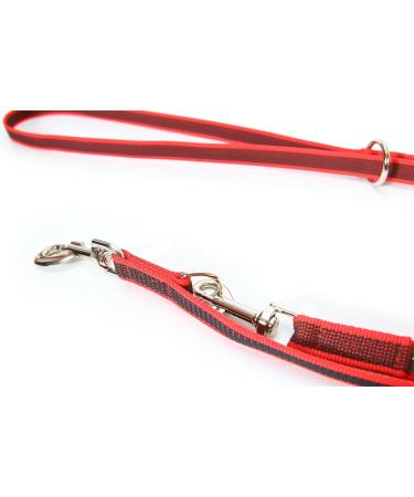 IDC Color & Gray Adjustable Dog Leash with Double Snap Hook - 20mm x 2.2m | Red-Grey | International Shipping Available - Buy Online on GoSupps.com