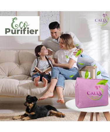 Activated Charcoal Odor Absorber Bags | Natural Air Purifier for Home & Car | Neutralizes Smoke Pet Odors & Moisture | Freshness for Closets (300 gm - Buy Online on GoSupps.com