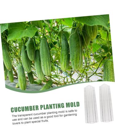 Milisten Garden Fruit Mould 2pcs Vegetable Shaping Mold Cucumbers Cucumber Shaping Mold Vegetable Shaper Mold Planting Supplies - Buy Online on GoSupps.com