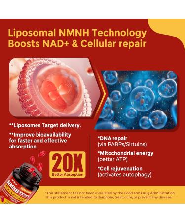 Liposomal NMNH Softgel 500mg Alpha-Lipoic Acid 200mg Astaxanthin Supplements 10mg + Vitamin B3 + Nicotinamide Riboside High Absorption Healthy Aging Energy Mitochondrial & DNA Support 120Counts - Buy Online on GoSupps.com