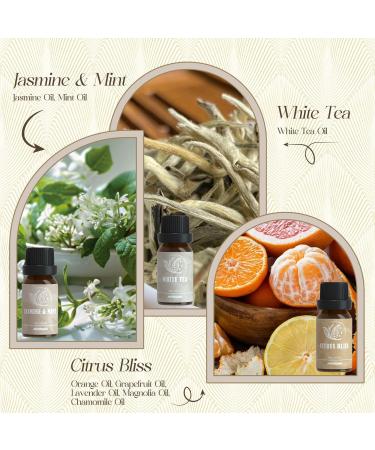 Hotel Fragrance Oils Set - ARVIDSSON Premium Essential Oils for Candle Making & Diffuser - Luxury Night Jasmine & Mint White Tea Citrus Bliss Hotel Lobby Scent - Buy Online on GoSupps.com