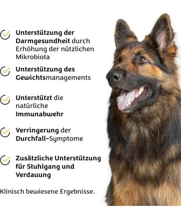 Pawital Belly Champ - Natural Dog Treats with Wild Salmon | Probiotics for Digestive Health & Immunity | 30 Premium Snacks - Buy Online on GoSupps.com