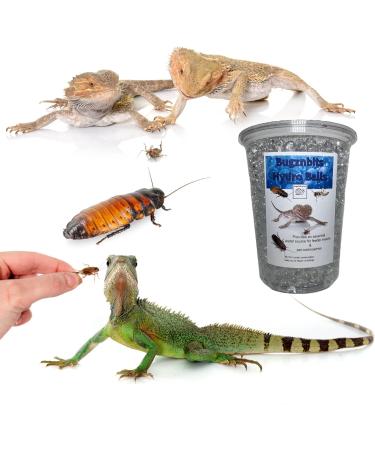 Bugznbits Hydro Balls Bug Gel Alternative for Crickets Cockroaches Locust and other Insects Reptile Feeder insects (900ml Maxi Pack) - Buy Online on GoSupps.com