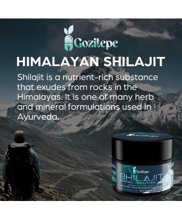 Gozitepe Shilajit High Potency Purified Himalayan Shilajit Resin with Fulvic Minerals & Humic Acids Vegan 2 Pack 1 Piece Pack of 2 - Buy Online on GoSupps.com