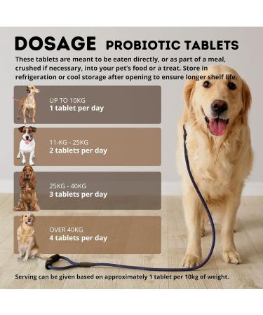 PetSupp Probiotics for Dogs Good Stomach & Gut Health 120 Probiotic Tablets Handy Re-Sealable Bag. - Buy Online on GoSupps.com