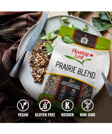 Pack of 3 x 400g Prairie Blend Brown Rice Wild Rice Hulled Millet and Sprouted French Lentils and Quinoa Non Gluten Non-GMO Kosher and Vegan - Floating Leaf - Buy Online on GoSupps.com