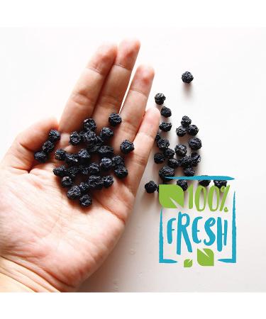 Bulk Dried Blueberries - Unsweetened, Non-GMO, 1 lb - Whole Dry Blue Berries - Dehydrated & All Natural - Buy Online on GoSupps.com