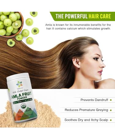 Certified Organic Aura Amla Powder 16Oz - 1Lb. Powerhouse of Natural Vitamin C. Great Source of Antioxidants. Supports Immunity and Vitality. - Buy Online on GoSupps.com