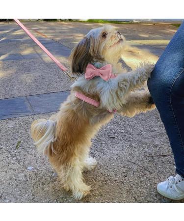 Premium H-Shaped Dog Harness - Velvet & Multi-Position Leash - Small Medium & Large - Stylish Pink (L) - Buy Online on GoSupps.com