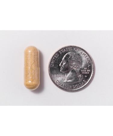 ProCare Health Probiotic Bariatric Multivitamin with Iron 45mg (60 Count) - 15 Billion CFU Bariatric Probiotic Fast Dissolving Veggie Capsules to Support Gut and Immune Health in Bariatric Patients 60 Count (Pack of 1) - Buy Online on GoSupps.com