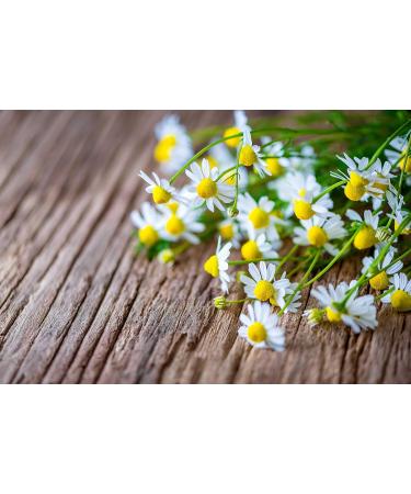 Dentinox Sugar-Free Teething Gel with Chamomile - 10g Pack | Soothing Relief for Baby's First Teeth - Buy Online on GoSupps.com