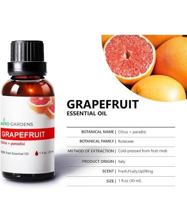 Citrus Essential Oil Set - Pack of 3 (1 oz) | Pure Therapeutic Grade Lime Clementine Grapefruit | International Shipping Available - Buy Online on GoSupps.com
