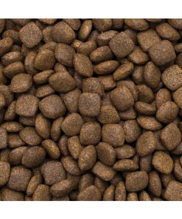 Premium Dry Dog Food with Turkey and Rice for Adult Medium and Large Breeds 500g - Buy Online on GoSupps.com