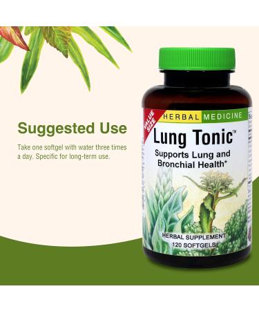 Herbs Etc. ChlorOxygen & Lung Tonic Chlorophyll & Herbal Lung Support for Blood Oxygen Energy Breathing & Bronchial Health with Mullein Horehound & Grindelia 240 Softgels - Buy Online on GoSupps.com