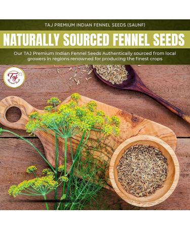 Taj Premium Indian Fennel Powder - 5 Pounds Jar | Saunf Ground Spice - Buy Online on GoSupps.com