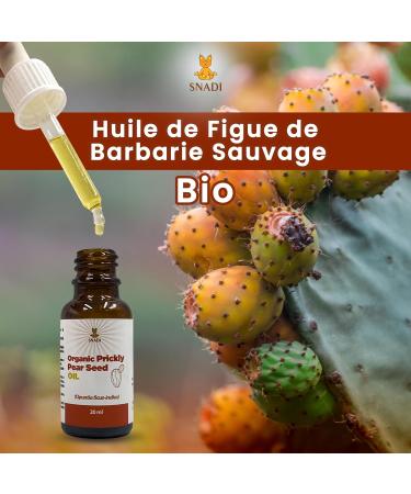 Snadi - Organic Prickly Pear Seed Oil | 20ml | 100% Natural and Pure | Cold Pressed | Moisturizes & Rejuvenates | Dark Circles & Pouches Reducer | Vegan | Glass Bottle - Buy Online on GoSupps.com