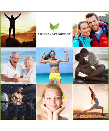 Coast to Coast Liver Support Formula - 22 Herbs Supplement with Milk Thistle, Beet Root, Artichoke - 60 Capsules - Buy Online on GoSupps.com