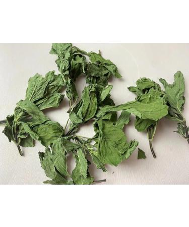 Mint Leaf Dried Mint Leaf Mint Leaf Tea 30 g - Buy Online on GoSupps.com