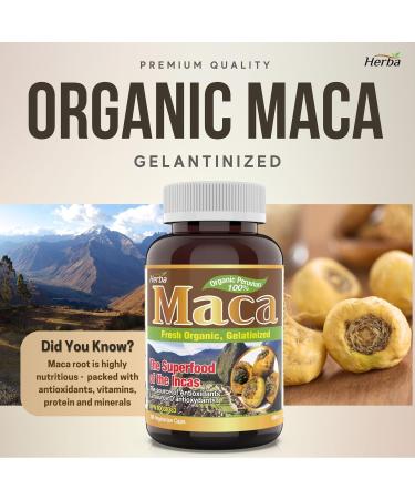 Herba Organic Maca for Men & Women - 200 Capsules | 100% Organic Gelatinized Maca Root | 500mg Peruvian Yellow Maca per Vegetable Capsule | Made in Canada - Buy Online on GoSupps.com