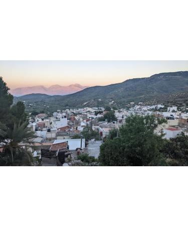  Physis of Crete Physis of Crete 0.2 Extra virgin olive oil 1.5 l | Cold-pressed olive oil | First press | Extra virgin | Crete olive oil | Fr - Buy Online on GoSupps.com