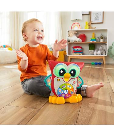 Fisher-Price Blinkilinkis Clever Owl German - Interactive Learning Toy for Babies 18+ Months with Music Lights & Melodies - Buy Online on GoSupps.com