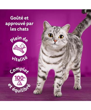 WHISKAS Cat Meal - 40 Freshness Sachets - Tasty Mix Chef's Selection (4 Varieties) - Adult Cat Food in Sauce - Complete & Bal - Buy Online on GoSupps.com