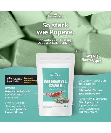 NatureHolic - MineralCube Spinat Power I for mineral intake I with valuable spinach I No water pollution I Ideal food for holidays I 47ml - Buy Online on GoSupps.com