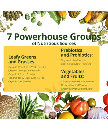 Zotreval Daily Greens Superfood Green Gummies Packets - Digestive & Gut Health Chlorella and Spirulina Supplement with 20+ Organic Prebiotics Fiber Vitamins & Minerals - 224 Low Sugar Gummy - Buy Online on GoSupps.com