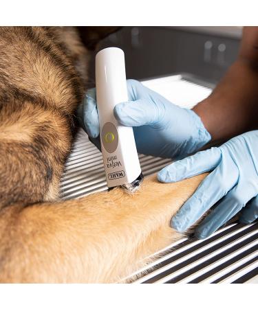 Wahl Vetiva Mini Cordless Veterinary Trimmer and Replacement Blade - Buy Online on GoSupps.com