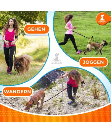 2-in-1 Jogging Lines for Dogs | Dual Handle Leash & Belly Belt | Perfect for Medium & Large Dogs - Pink - Buy Online on GoSupps.com