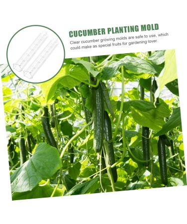 Toddmomy Horticulture 12 Pcs Vegetable Shaping Mold Mushroom Flower Shape Cucumber Molds - Buy Online on GoSupps.com