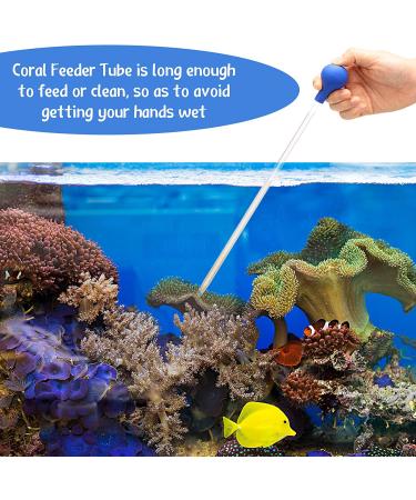 Axolotl Tank Accessories Set: Long Tweezers, Coral Feeder, Fish Feeding Tongs - Ideal for Reef Roids, Aquatic Plants, Spiders, Snakes, and Lizards - Buy Online on GoSupps.com
