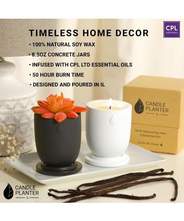 Concrete Cement Candle Planter | Aromatherapy Soy Candles | 8 Oz Black Sandalwood | Strong Scented Home Decor | 50 Hour Burn Time - Buy Online on GoSupps.com