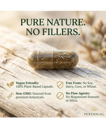 Perennial Healthy Cycles PMS and Period Relief Supplement with Vitex, Dong Quai, and Raspberry Leaf Supports Menstrual Balance and Comfort Natural Formula for Women s Cycle Health 120 Capsules - Buy Online on GoSupps.com