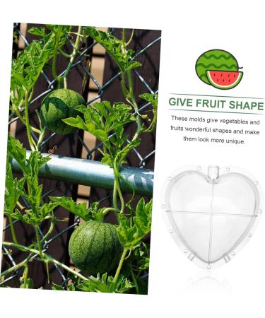 SUPVOX Fruit Forming Heart Shaped Watermelon Molds Fruit Watermelon Mould Vegetable Cucumber Shaper - Buy Online on GoSupps.com