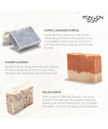 Iron Lion Vegan All Natural Men's Soap Bars Variety Pack - Organic, Plant Based Soap for Body, Face, Hands, and Bath (6 Pack) - Buy Online on GoSupps.com