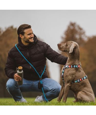 Hands-Free Dog Leash - 2m Adjustable Belly Belt for Running & Jogging | 3-in-1 Training & Hunting Leash for All Dog Sizes - Touline Petrol - Buy Online on GoSupps.com