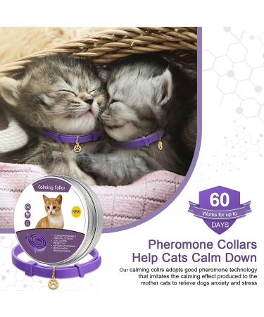 Calming Lavender Cat Collar - Reduce Anxiety & Aggression, Adjustable & Long-Lasting - 2 Pcs Set for Cats & Puppies (Up to 15 Inch) - Buy Online on GoSupps.com