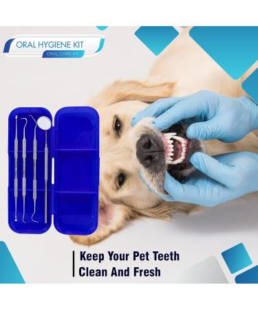 Professional Dental Care Set - Plaque & Calculus Remover Kit Hygiene Tools with Metal Toothpick & Mirror - International Shipping Available - Buy Online on GoSupps.com