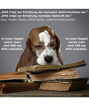 Buy Canimove Sparbundle Immune Mini & Senior Mini - 100 Capsules Each | Veterinary Supplement for Small Senior Dogs | Fast International Shipping - Buy Online on GoSupps.com