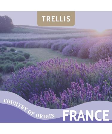 Lavender Essential Oil 10ml by Trellis | 100% Pure Aromatherapy Oil for Diffusers | Vegan & Cruelty-Free | Ethically Sourced & Bottled in the UK - Buy Online on GoSupps.com